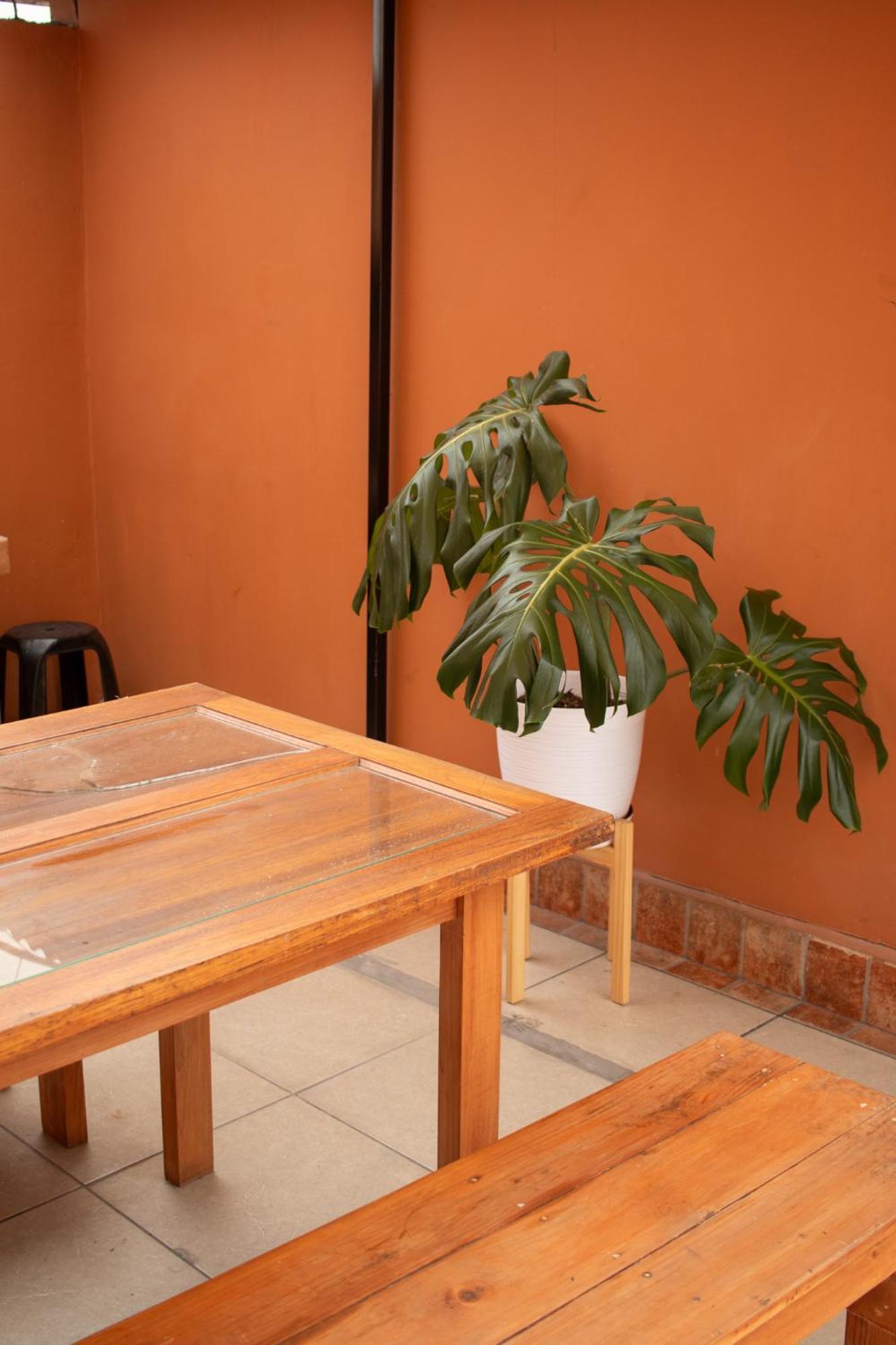 Temazcal Hostel Лима Экстерьер фото